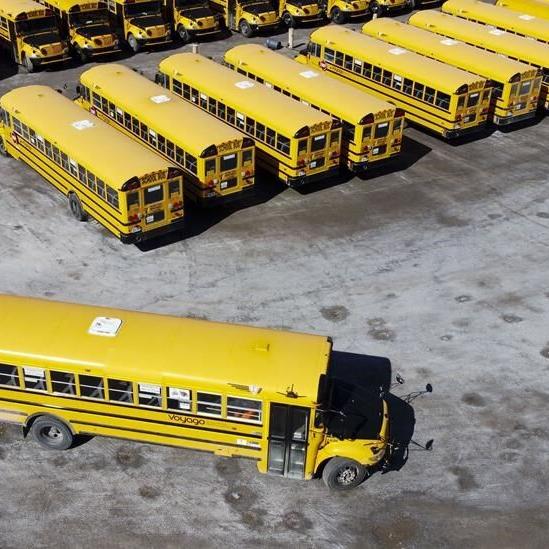 New Brunswick school bus drivers fail to meet licensing, training requirements: audit